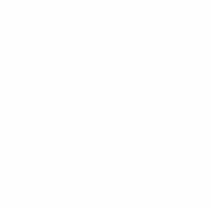 calcadostoloy.com.br